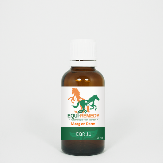 EQUI Remedy 11 - Maag en Darm