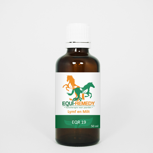 EQUI Remedy 19 - Lymf en Milt