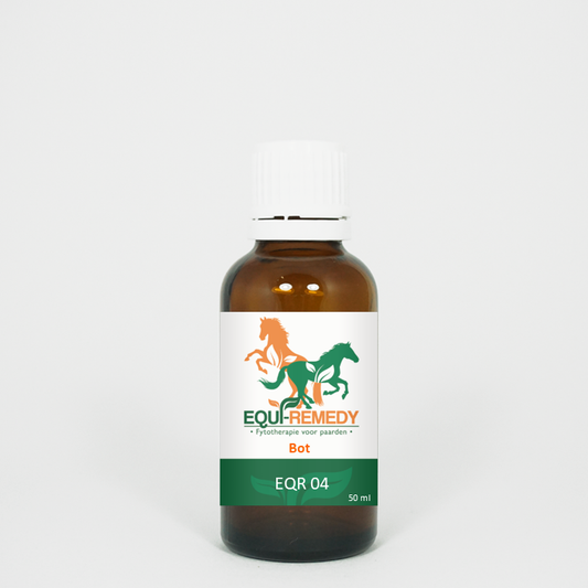 EQUI Remedy 4 - Bot