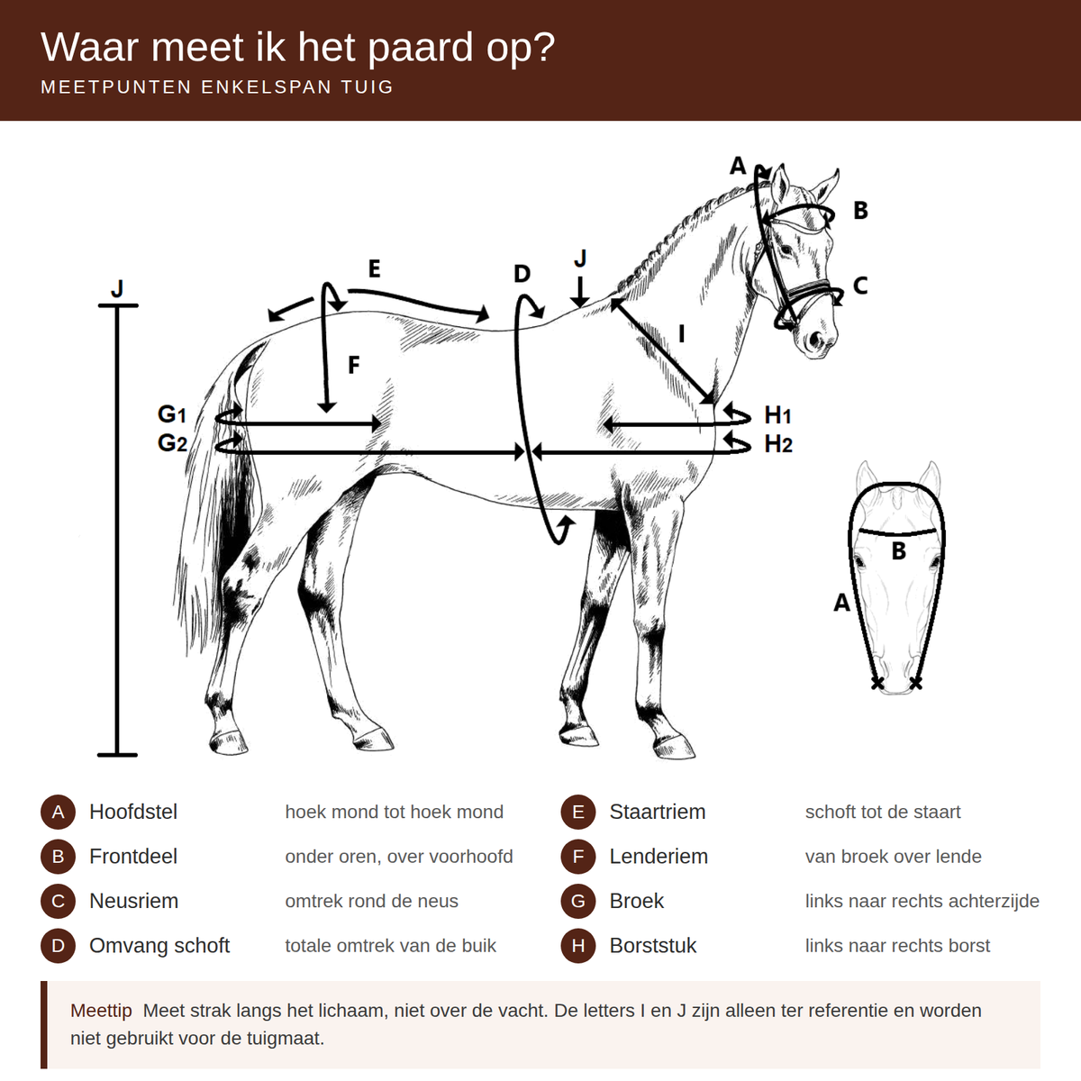 Meetpunten paardentuig opmeten – hoofdstel, frontdeel, neusriem, omvang schoft, staartriem, lenderiem, broek en borststuk